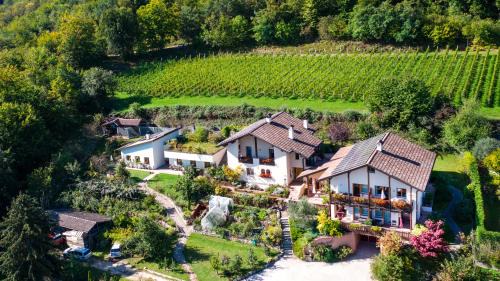 Caldaro Sulla Strada del Vino Casa | Dissertorihof