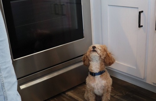 Sandusky Cabaña | Dog Friendly cottage with Lake views at Bayfront Resort in Sandusky, Ohio