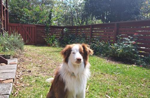 Smiths Lake Casa | DolceVita at Peppertree Cottage