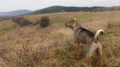 Rabe Casa | Dom na rozdrożu