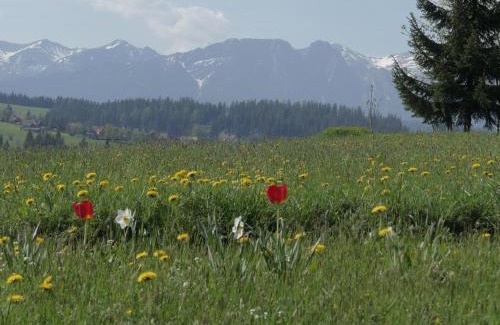 Czerwienne Casa | Dom z widokiem na Tatry