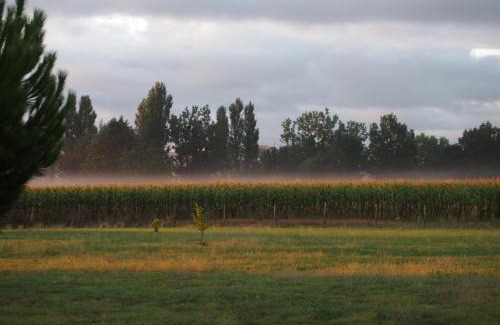 Ligre Casa | Domaine de Basse Chancelée