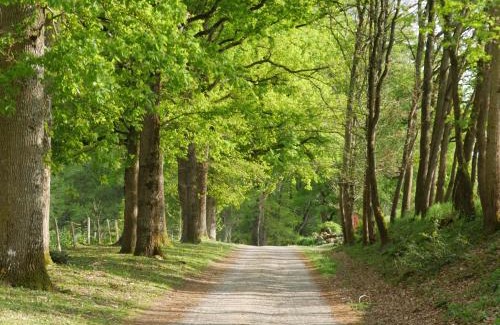 Gennes-Val-de-Loire Cama Y Desayuno | Domaine de Joreau