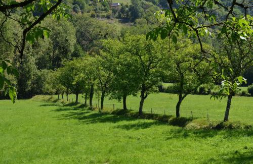 Villecomtal Casa | Domaine de Jouani - Pergola