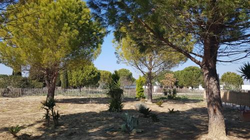 Saint-Laurent-d'Aigouze Casa | Domaine de L'Outarde Canepetiére Gîte A