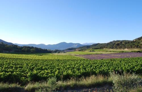 Venterol Cama Y Desayuno | Domaine de Provensol