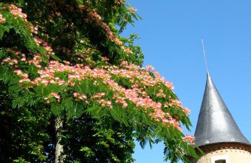Gannay-sur-Loire Casa | Domaine du Bourg Gites