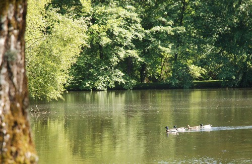 Frejairolles Hotel | Domaine du Grand Chêne