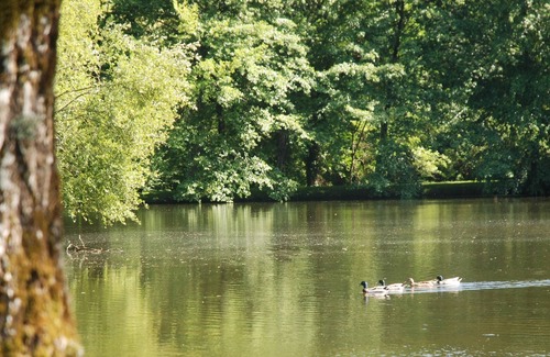 Frejairolles Chalet De Esquí | Chalet-Básico-Baño Privado