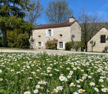Degagnac Casa | Domaine la Cabane luxe vakantiehuizen met zwembad