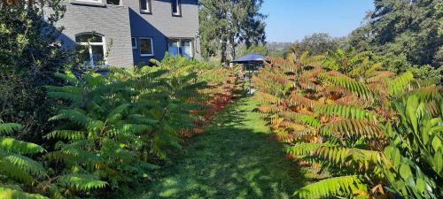 Ave et Auffe Casa | Domaine "Le Ry d'Ave"
