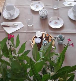 Lagnes Cama Y Desayuno | Domaine Les Peupliers. Chambre Manon
