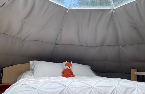 Perce Chalet De Esquí | Dome #2 forested at Domaine Renard