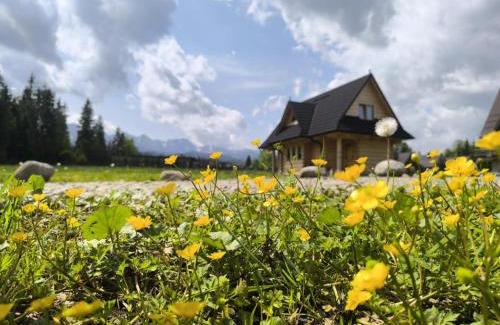 Poronin Chalet De Esquí | Domek Góralsko Gawra