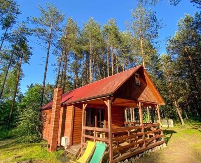 Rakow Chalet De Esquí | Domki w Sosnowym Lesie
