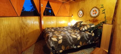 Conaripe Apartamento | Domo Vive Pellaifa