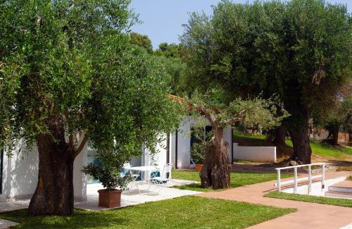 Palinuro Cama Y Desayuno | Donnasilia