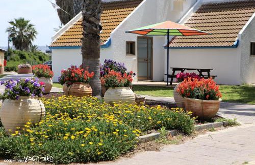 Dor Complejo | Dor village