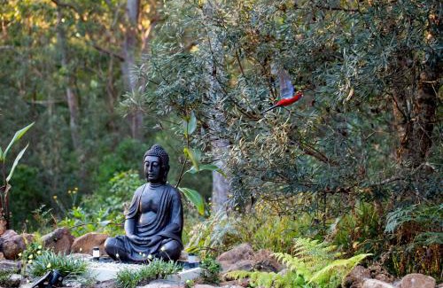 Deer Vale Casa | Dorrigo Bush Pepper Retreat