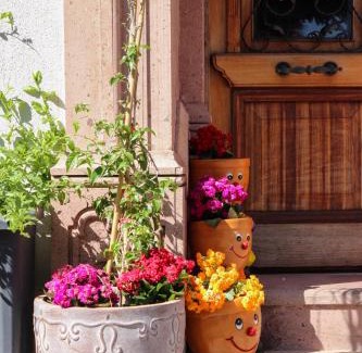 Ayvalik Casa | Doruk Hotel