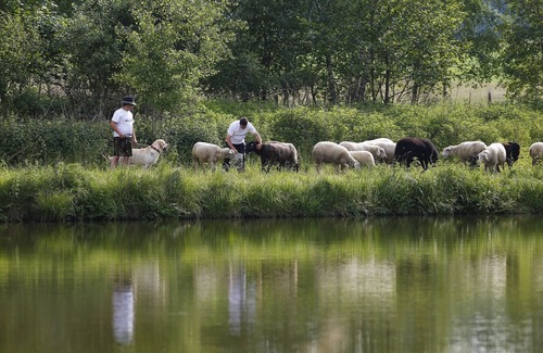 Hohenberg a.d.Eger Apartamento | Double room in the inn