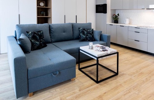 Katowice Apartamento | Downtown Apartments ,next to Spodek-free parking