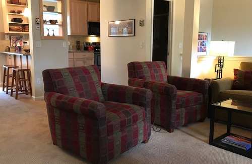 Crested Butte Casa | Downtown C B, Contemporáneo, Soleado 2BR, Impresionantes vistas