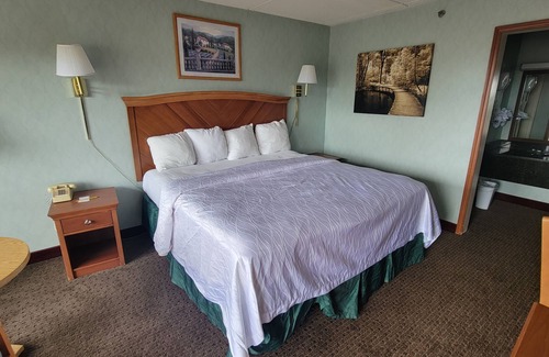 Asheville Hotel | Downtown Inn #1 King Room