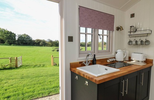 Llanarth Cabaña | DRAGONFLY SHEPHERD'S HUT, pet friendly, with a garden in Aberaeron