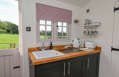Llanarth Cabaña | DRAGONFLY SHEPHERD'S HUT, pet friendly, with a garden in Aberaeron