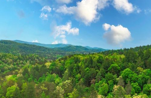 Foxfire Estates Casa | Dream Catcher - 270 Degree Mountain Views