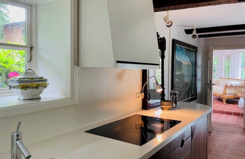 Brarupholz Casa | Dream vacation in a stylish thatched-roof house in a rural setting