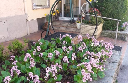 Elisabeth-Vorstadt Casa | Dreibettzimmer mit Dusche od. Bad, WC - Hohenstauffen, Hotel