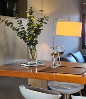 Luján de Cuyo Apartamento | Drummond Apartments