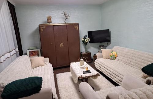 Central Serbia Apartamento | Dušanovac