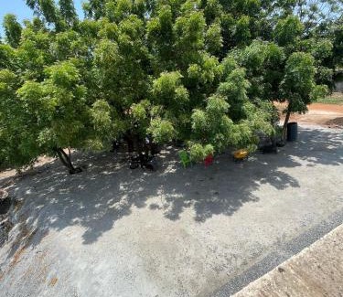 Tema Hotel | Dubai Dollar Beach Resorts