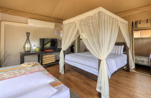 Dubbo Otro | Dubbo Rhino Lodge