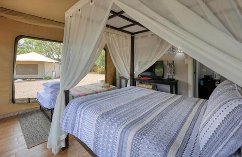 Dubbo Otro | Dubbo Rhino Lodge