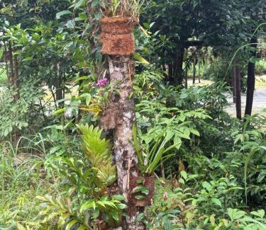 Ham Ninh Hotel | Dugong Bay Eco Resort Phu Quoc