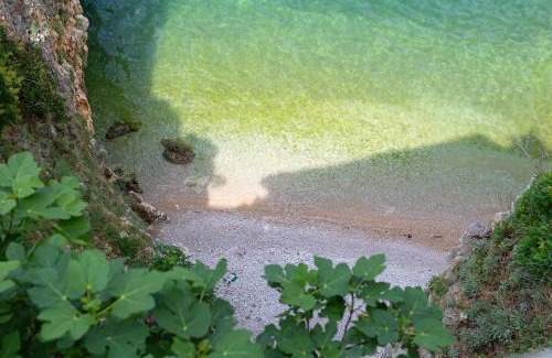 Vrbnik Apartamento | Dume Vrbnik