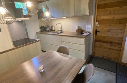 La Clusaz Apartamento | Duplex 3 chambres pour 6 pers, proche village, ski aux pieds - FR-1-459-230