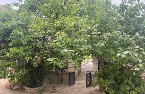 Constantine Apartamento | Duplexe familiale avec jardin