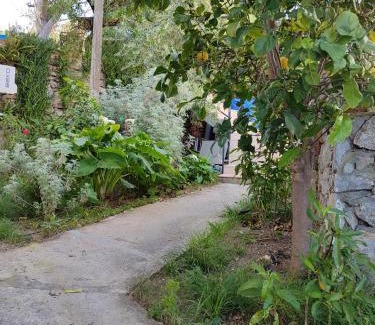 Selimiye Casa | DURU selimiye konukevi
