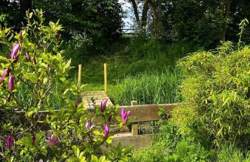 Warmenhuizen Casa | Duynhof nabij Strand, duinen, bos en stad - 5 personen