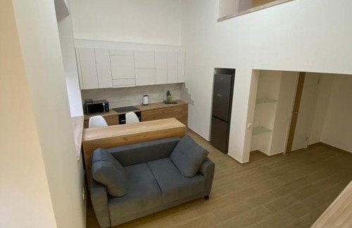 Petrovskoye Apartamento | Двухуровневые апартаменты на Озерянской