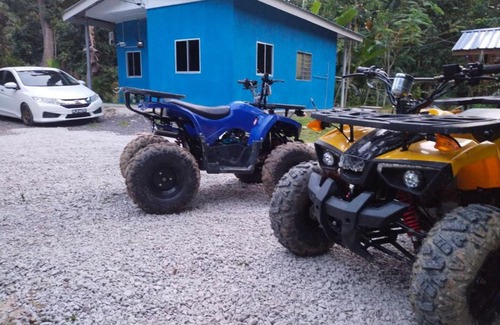 Kampar District Casa | DZaf Homestay & Mini Chalet