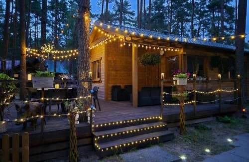 gmina Karsin Complejo | Dzik w zagrodzie