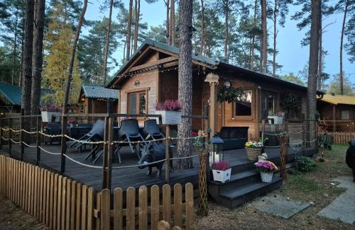 gmina Karsin Complejo | Dzik w zagrodzie