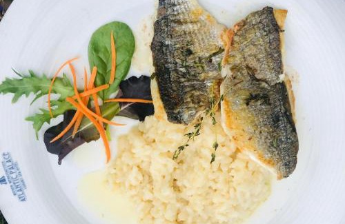 City Centre Hotel | EA Hotel Atlantic Palace