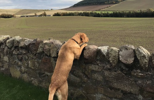 Cupar Cabaña | East Cottage, Parbroath Farm near Cupar in Fife